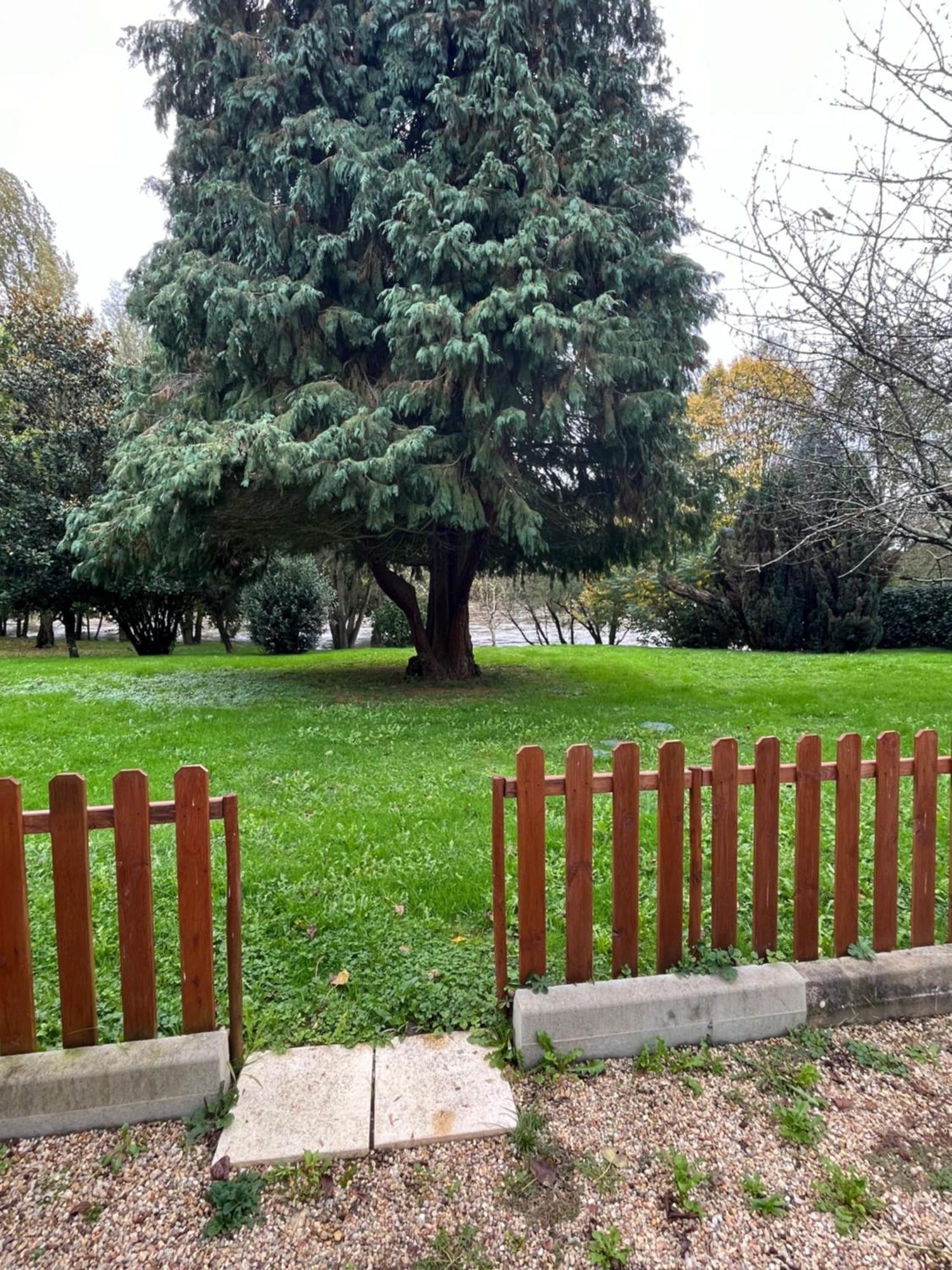 Logement Paisible En Bord De Vienne Bonneuil-Matours Extérieur photo